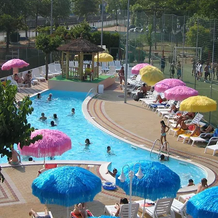 Color Metropolitan Family 체제나티코