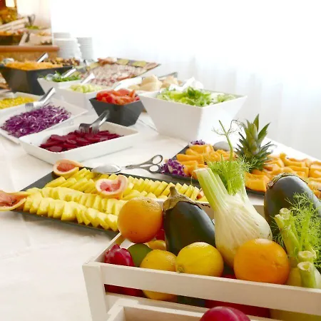 Color Metropolitan Family 체제나티코