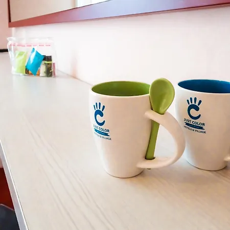 Color Metropolitan Family 체제나티코