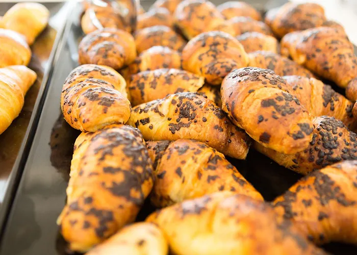 فندق Color Metropolitan Family تْشيزيناتيكو